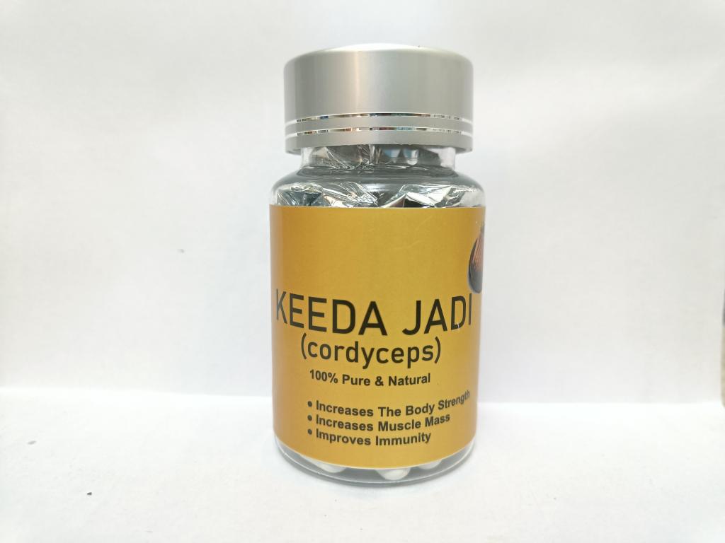 Keeda Jadi (Cordyceps) view 2